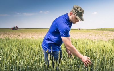 Criză îngrășămintelor: Fermierii cer ajutor URGENT la Bruxelles