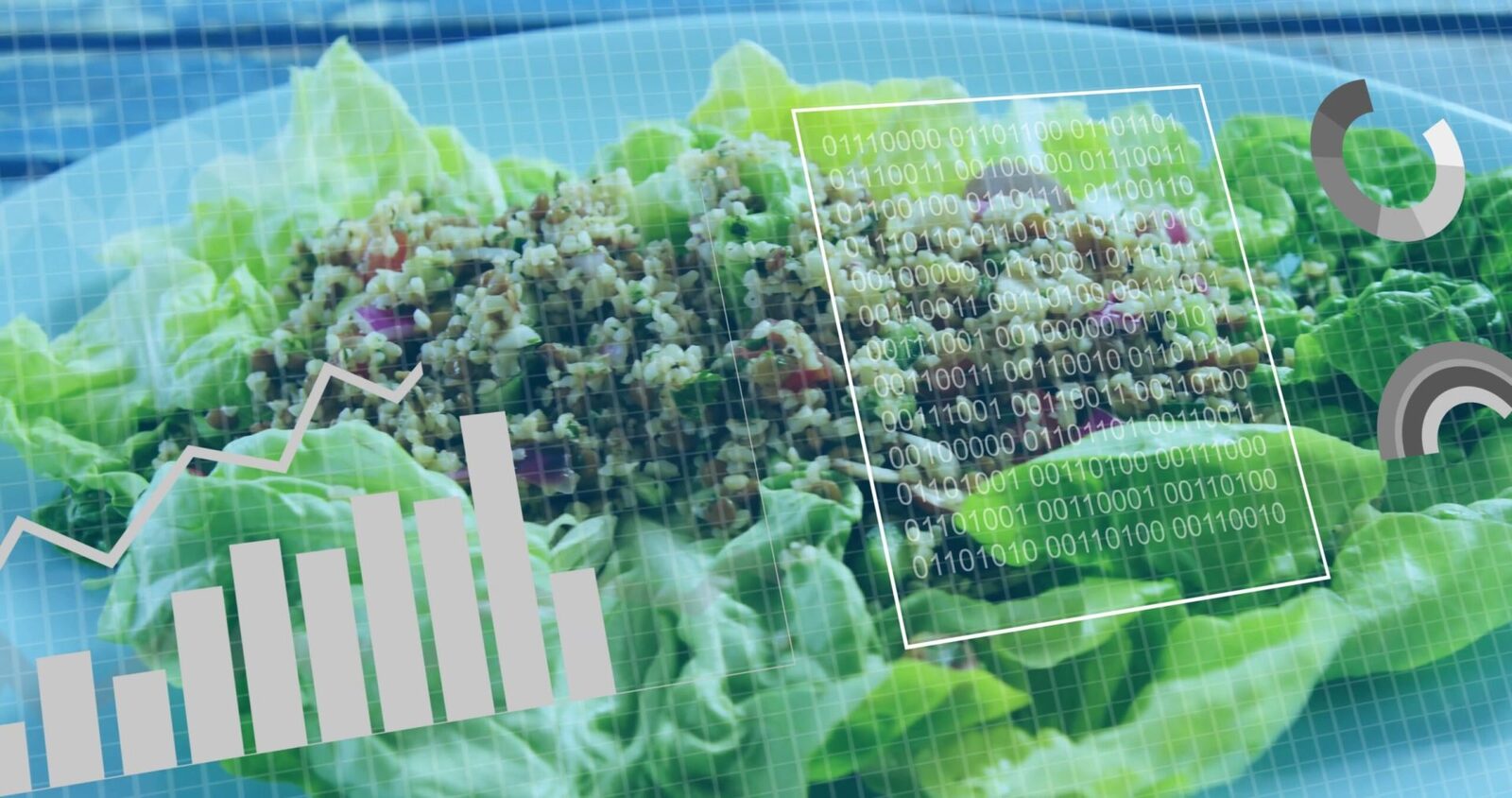 Cum ne schimbăm dieta cu vârsta? Ghid esențial pentru o viață sănătoasă în România