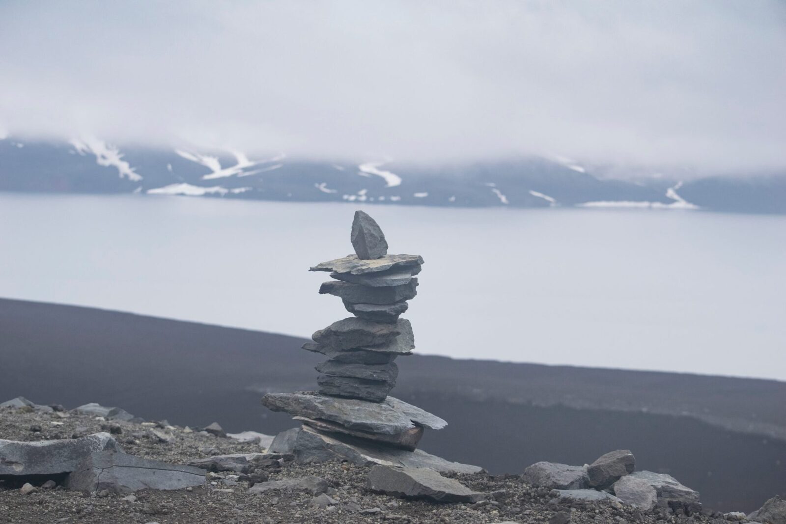Cercetători chinezi au descoperit o linie genetică umană necunoscută, care a supraviețuit ultimei ere glaciare în nordul Asiei de Est și s-a adaptat la un climat mai cald
