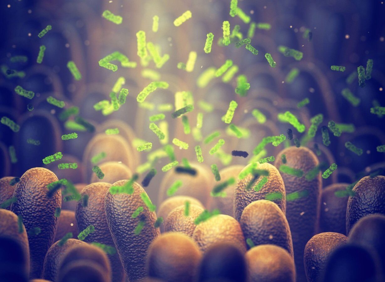 Bacterie „ucigașă” de tumori: Cercetătorii fac furori în lupta cu cancerul
