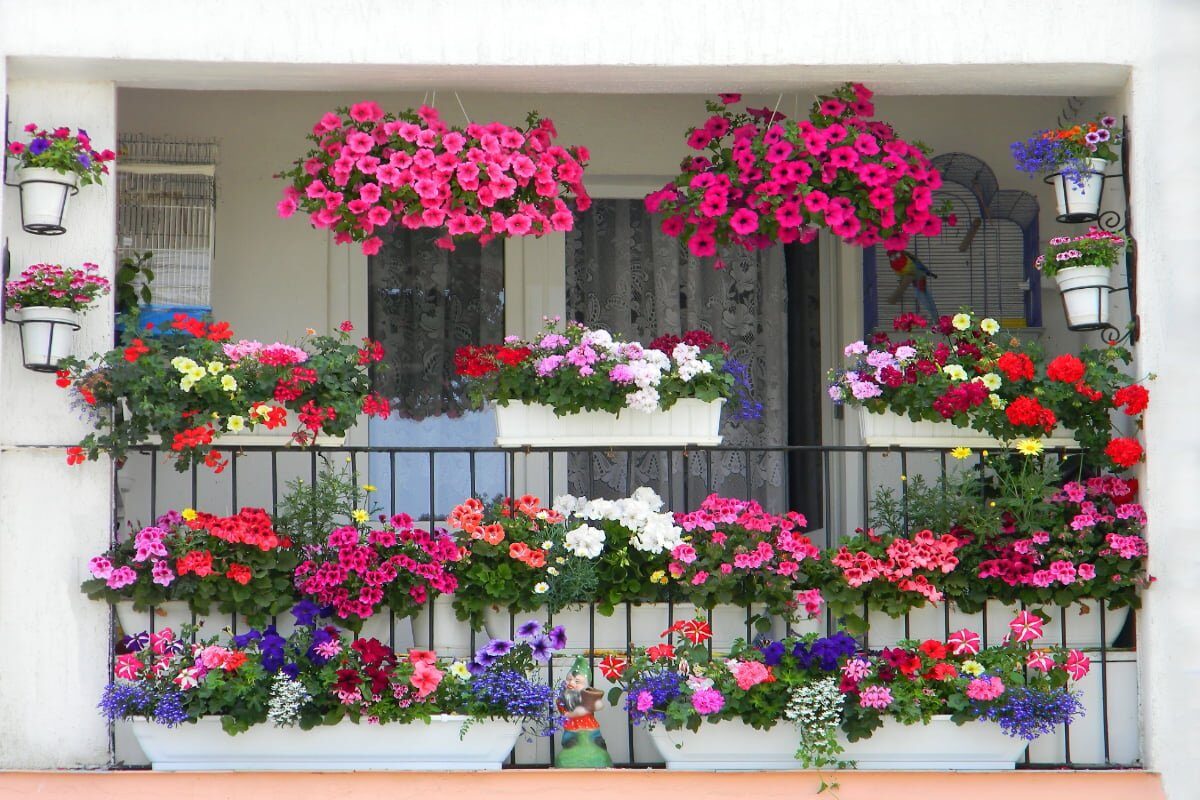 7 trucuri să-ți transformi balconul într-o oază de flori