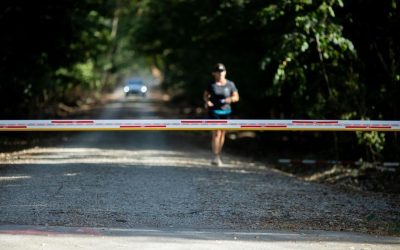 Romsilva închide drumul prin Pădurea Băneasa pentru bucureșteni