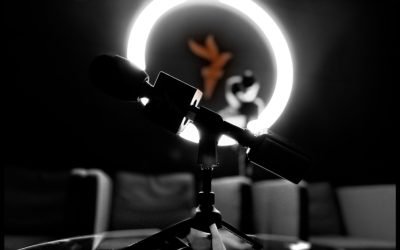 Restul e arhivă: 52.341 de motive să citești ce lasă Europa Liberă România