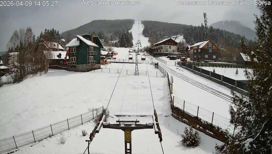 Jandarmeria Maramureș avertizează turiștii: Evitați deplasările pe munte de Paști Jandarmii din județul Maramureș le recomandă turiștilor care plănuiesc să petreacă sărbătorile pascale în zonele montane să evite drumețiile