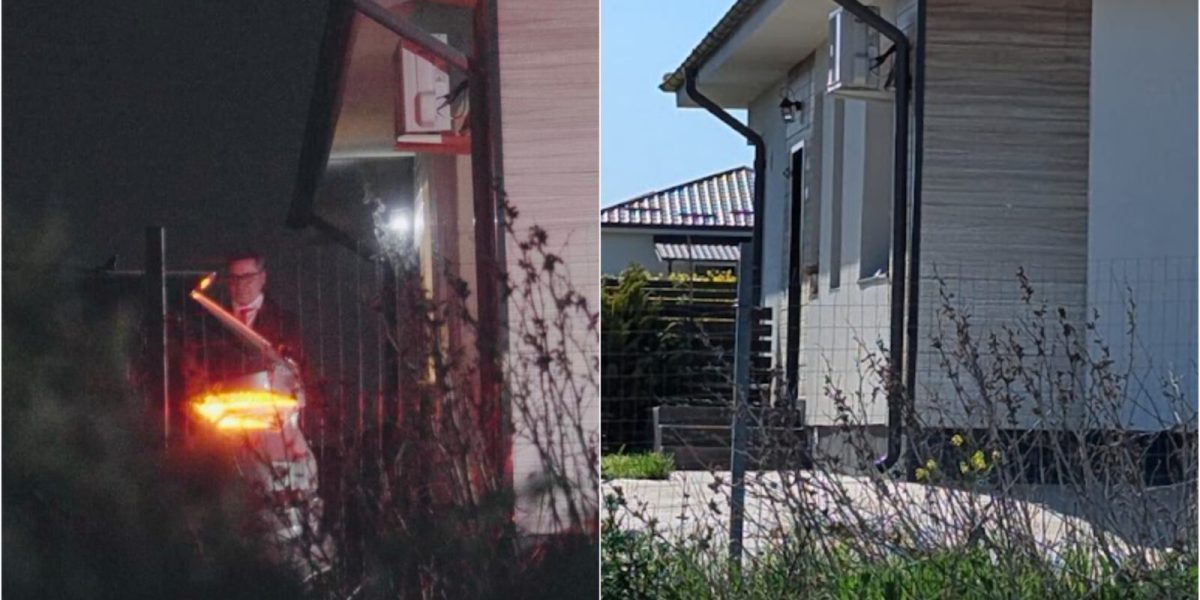 Afacerea Elena Lasconi: Procurorii, la plevușcă în ancheta prezidențială