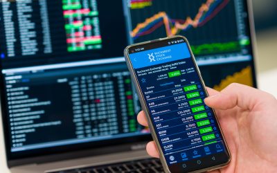 Cei mai mari manageri de investiții din România au înregistrat o creștere semnificativă a activelor gestionate, atingând un nivel de 41 de miliarde de lei la finalul lunii februarie 2026