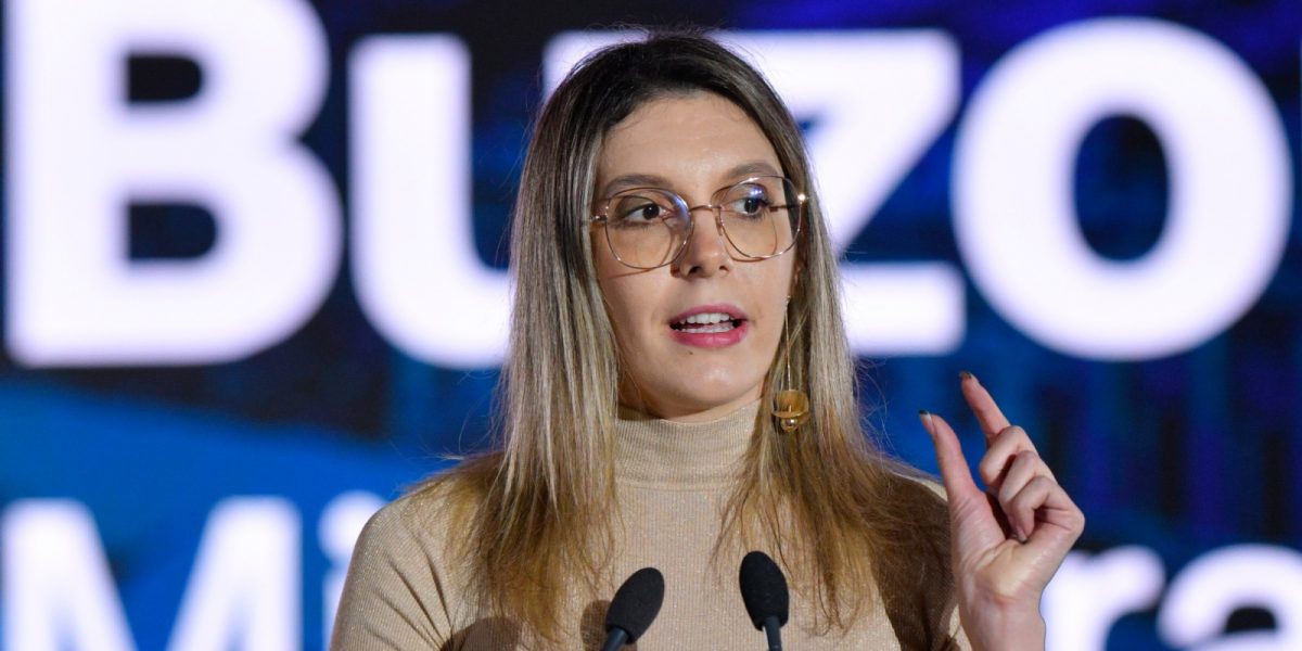 Ministerul Mediului, victorie uriașă în cazul drumului din Pădurea Băneasa