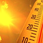 Kokushobi: Japonia, în clocot! Ziua cu 40 de grade, un coșmar