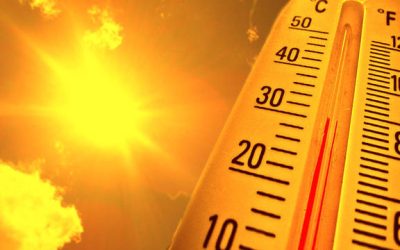 Kokushobi: Japonia, în clocot! Ziua cu 40 de grade, un coșmar