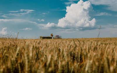 Meseria de tractorist, o profesie bine plătită dar în declin în România Meseria de tractorist rămâne una dintre cele mai bine plătite din sectorul agricol din România, unde salariile pot ajunge până la 10.000 de lei pe lună