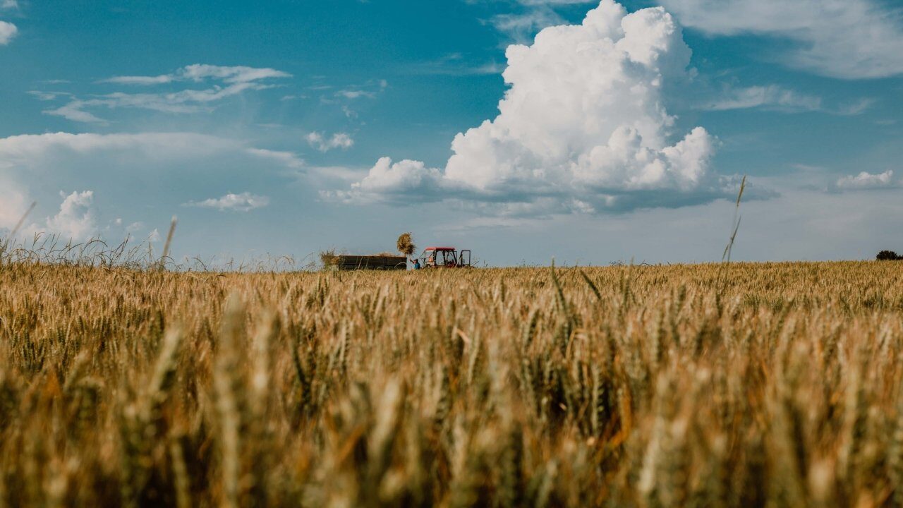 Meseria de tractorist, o profesie bine plătită dar în declin în România Meseria de tractorist rămâne una dintre cele mai bine plătite din sectorul agricol din România, unde salariile pot ajunge până la 10.000 de lei pe lună