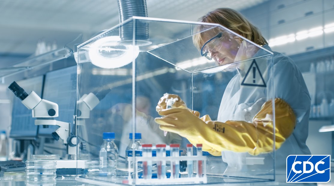 Cercetări științifice „nebune” au dat rezultate uluitoare