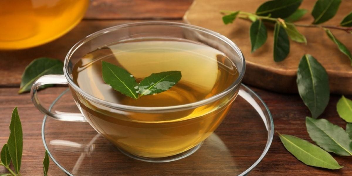 Ceaiul de dafin: Minune pentru sănătate? Beneficii și precauții