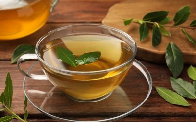 Ceaiul de dafin: Minune pentru sănătate? Beneficii și precauții