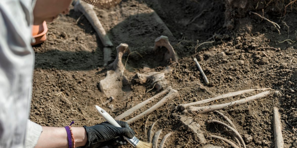 Peisaj antic: Descoperire uluitoare, urme de oameni de acum 100.000 de ani