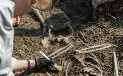 Peisaj antic: Descoperire uluitoare, urme de oameni de acum 100.000 de ani