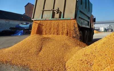 Afaceri record pentru Agropec Dionis în 2025: Ce au făcut traderii români?