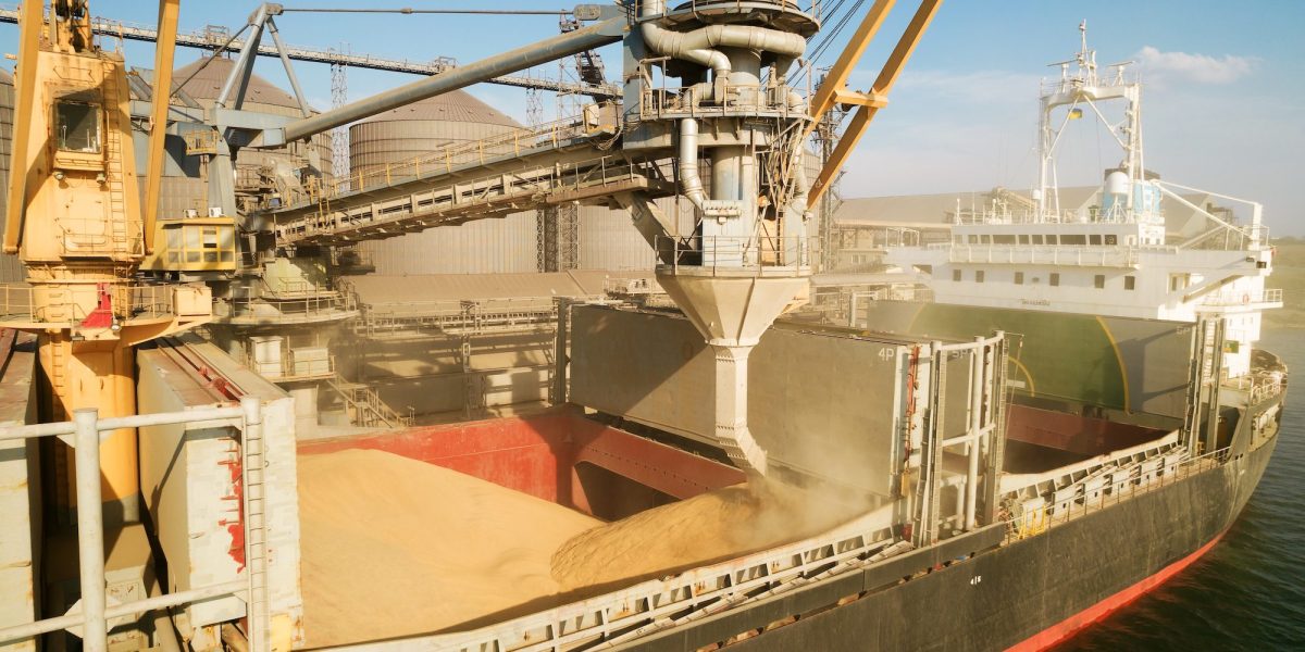 Cât au câștigat fermierii din exporturile de cereale Anul trecut, creșteri sub 1%