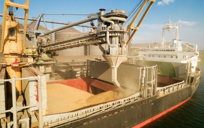 Cât au câștigat fermierii din exporturile de cereale Anul trecut, creșteri sub 1%