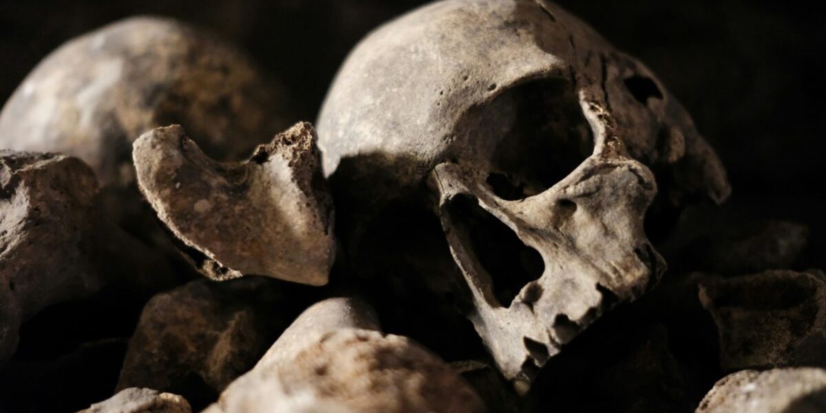 Catacombele Parisului, redeschise! Oasele sunt în pericol, atacate de microbi