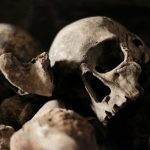 Catacombele Parisului, redeschise! Oasele sunt în pericol, atacate de microbi