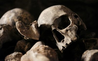Redeschidere monumentală: Catacombele din Paris, mai sigure și mai moderne pentru vizitatori Catacombele din Paris, un loc încărcat de istorie și mister, au fost redeschise pentru public după o perioadă de închidere de aproximativ șase luni
