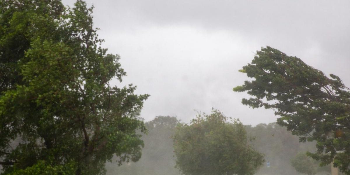 Cod galben de vânt sâmbătă: Ploi și vreme rea în Nord, Centru și Est