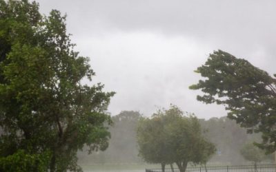 Cod galben de vânt sâmbătă: Ploi și vreme rea în Nord, Centru și Est