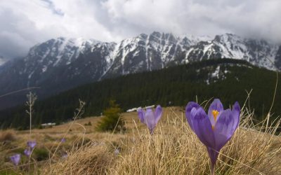 Ger cumplit în România de Paște: Vine iarna peste sărbători