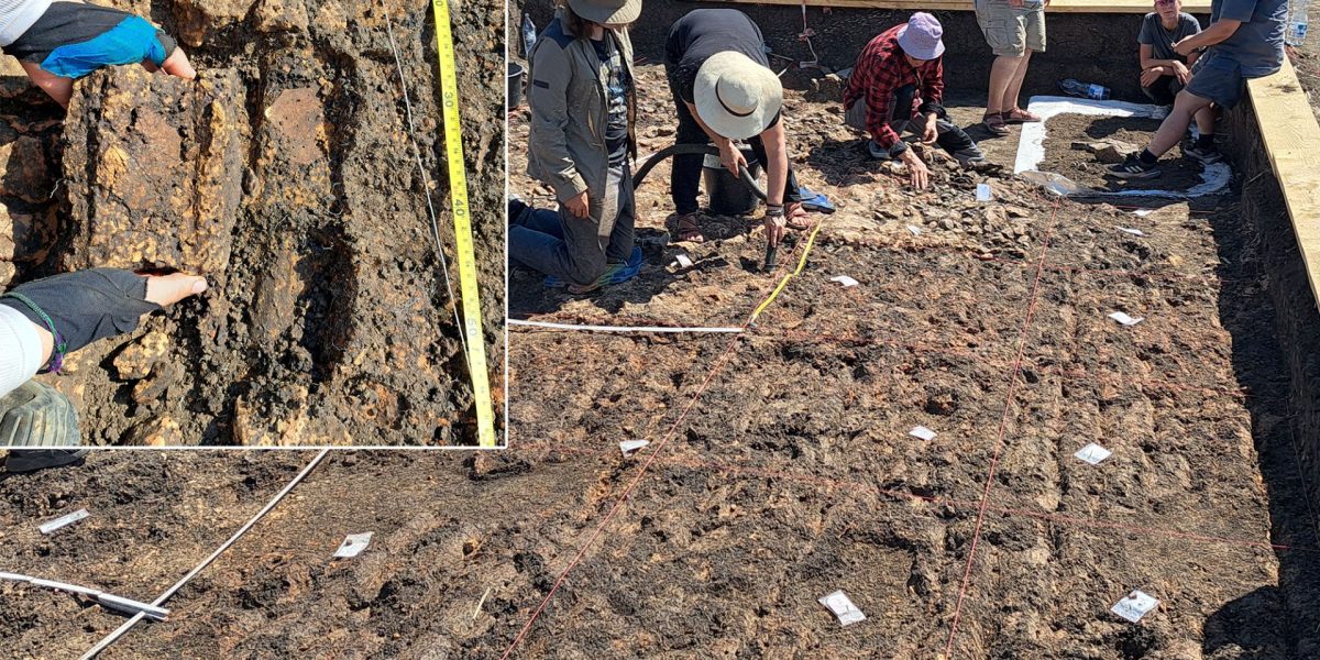 Arheologii din România și Germania, descoperire epocală la Cucuteni