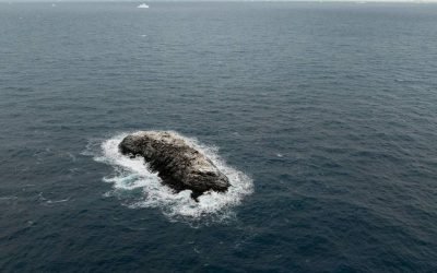 O navă germană a dat peste o insulă necunoscută. Descoperire șocantă