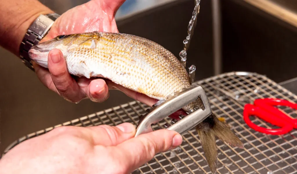 Curățarea peștelui devine mai rapidă și mai eficientă dacă se urmează o metodă simplă, dar adesea ignorată acasă: aplicarea unui strat subțire de sare grosieră pe solzi înainte de a începe procesul de curățare