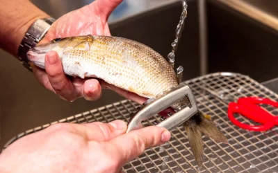 Curățarea peștelui devine mai rapidă și mai eficientă dacă se urmează o metodă simplă, dar adesea ignorată acasă: aplicarea unui strat subțire de sare grosieră pe solzi înainte de a începe procesul de curățare