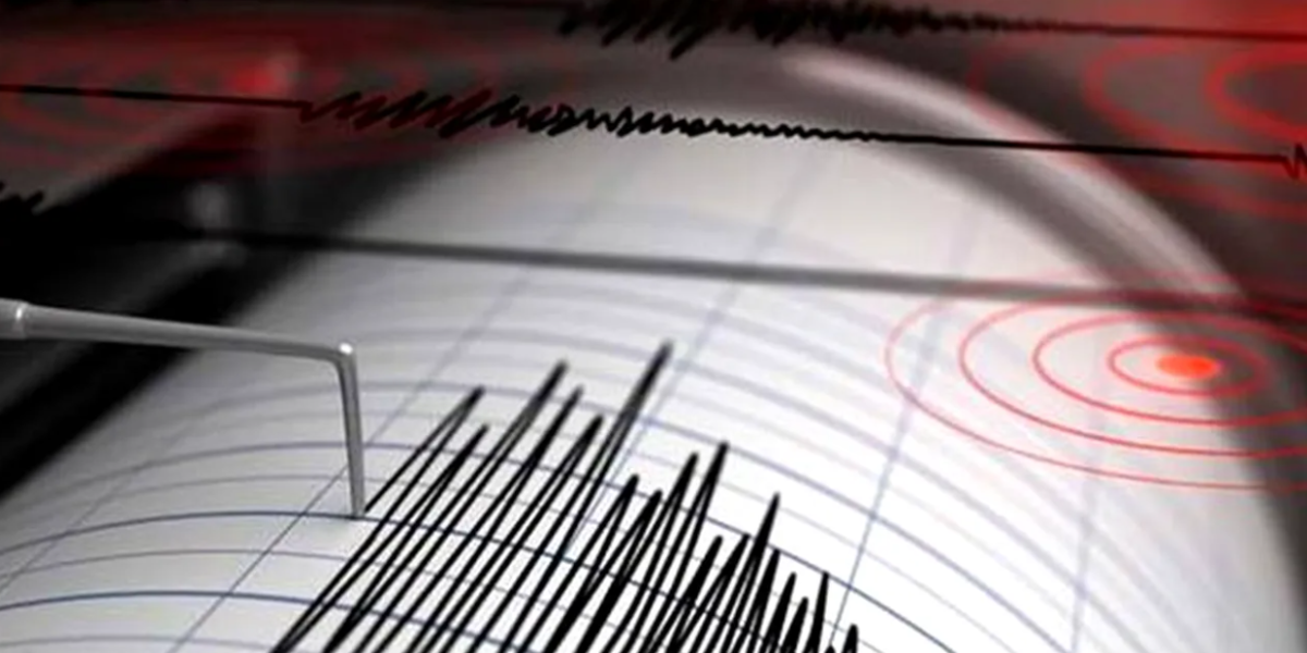 Cutremur în Vrancea, miercuri dimineață: Ce magnitudine a avut