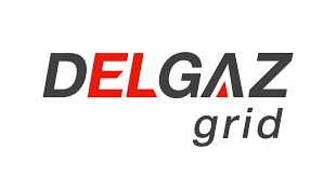 Delgaz Grid pompează 241 milioane euro în rețelele de gaz și curent în 2025