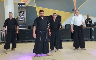 Kenjutsu la Timișoara: Arta subtilă a sabiei, ca stil de viață