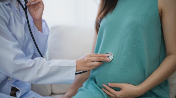 Oamenii de știință au realizat o cartografiere detaliată a placentei și uterului, dezvăluind modul în care aceste țesuturi se transformă pe durata sarcinii pentru a susține dezvoltarea fătului