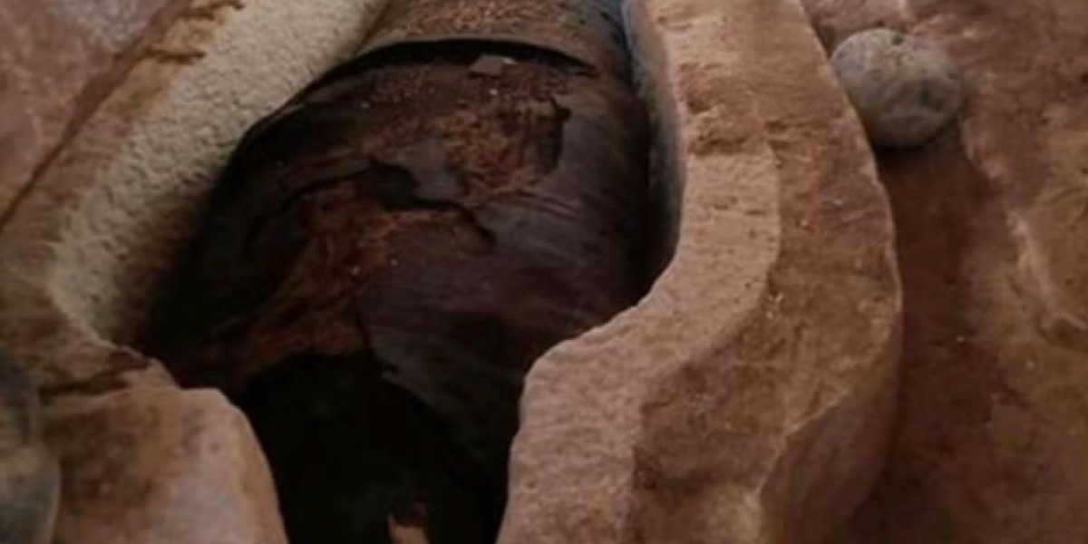 Papirusul cu „Iliada” LUI Homer, găsit într-o mumie egipteană antică șochează arheologii