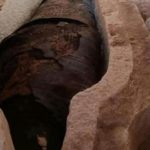 Papirusul cu „Iliada” LUI Homer, găsit într-o mumie egipteană antică șochează arheologii