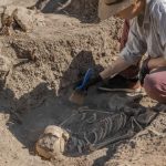 Amud 7, bebelușul Neanderthal, REVOLUȚIONEAZĂ: S-a dezvoltat mai rapid ca oamenii