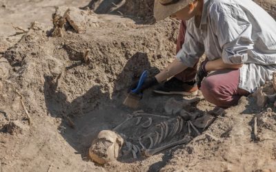 Amud 7, bebelușul Neanderthal, REVOLUȚIONEAZĂ: S-a dezvoltat mai rapid ca oamenii