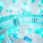 Balonare și greață după Paște? Ghid rapid pentru digestie ușoară