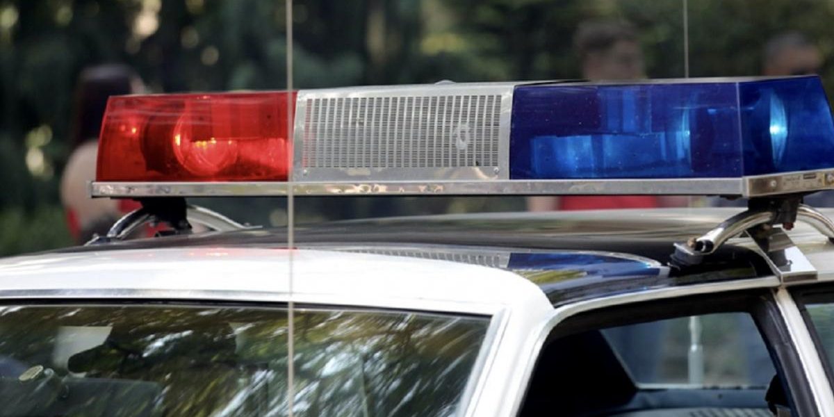 Doi bărbați din Caracal sunt cercetați de poliție pentru uciderea intenționată a unui câine, un caz care a șocat comunitatea locală