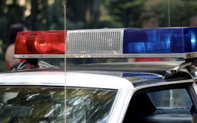 Doi bărbați din Caracal sunt cercetați de poliție pentru uciderea intenționată a unui câine, un caz care a șocat comunitatea locală