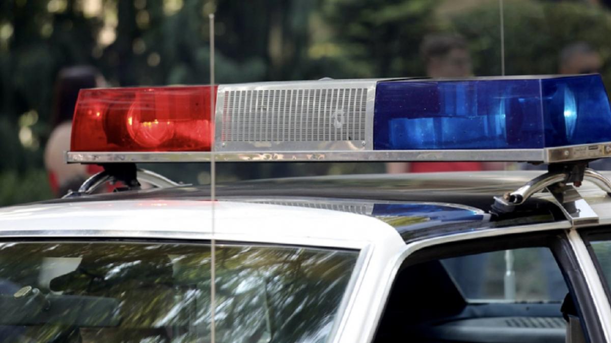 Doi bărbați din Caracal sunt cercetați de poliție pentru uciderea intenționată a unui câine, un caz care a șocat comunitatea locală