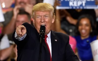 Primăria Sectorului 4 din București va amenaja un nou parc, care va purta numele fostului președinte al Statelor Unite ale Americii, Donald Trump