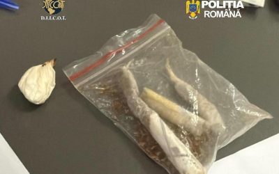 Procurorii DIICOT Cluj au dispus reținerea a doi bărbați pentru trafic de droguri de mare risc, într-un caz ce implică cantități semnificative de substanțe ilicite și o rețea de distribuție bine pusă la punct