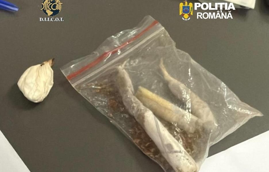 Procurorii DIICOT Cluj au dispus reținerea a doi bărbați pentru trafic de droguri de mare risc, într-un caz ce implică cantități semnificative de substanțe ilicite și o rețea de distribuție bine pusă la punct
