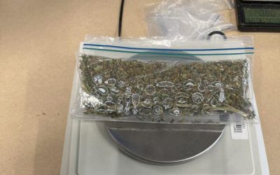 Mari capturi de droguri în România: Polițiștii și procurorii au confiscat tone