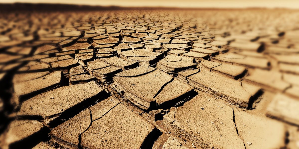 Se ceretea secetă accelerează riscul apariției bacteriilor rezistente la antibiotice